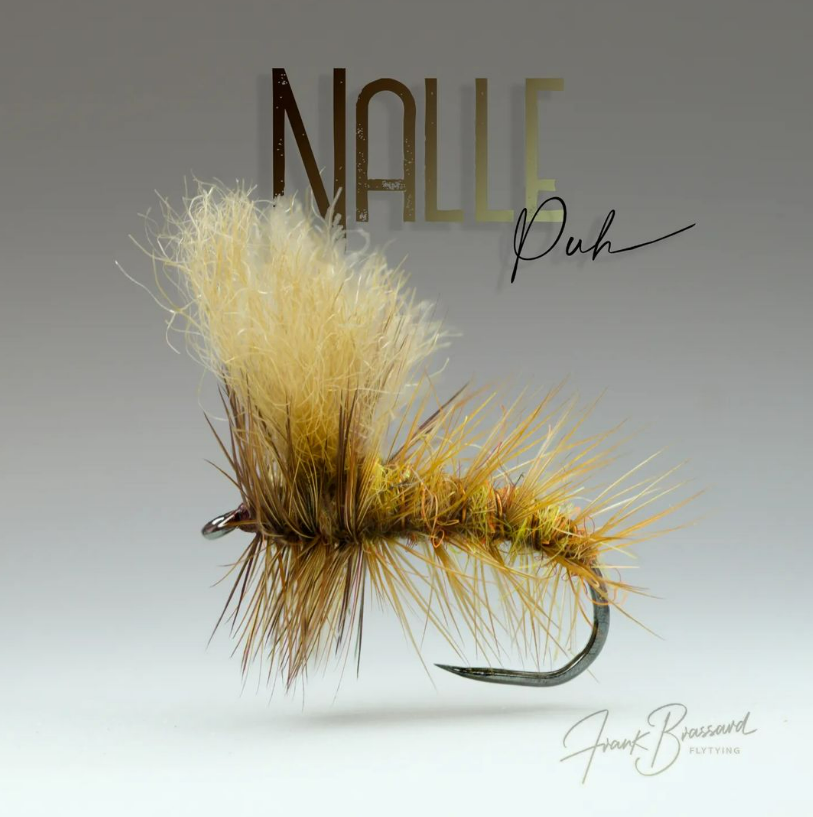 Very nice looking pattern
<a href="/frank/">frank</a>.brassard
Nalle Puh (Winnie The Pooh)

This is a caddis pattern from Finland's Simo Lumme. 

#flytying #fluebindning #flugbindning #fliegenfischen #atadodemoscas #flyfishing #flugfiske #fluefiske #fliegenfischen #pescaconmosca #trout