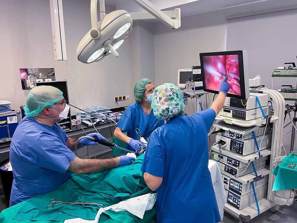 Alicia Pozo (@apozo_surgical) on Twitter photo Durante los días 19-20 de Enero tuvo lugar en <a href="/HospitalSantPau/">Sant Pau - Campus Salut Barcelona</a> el #MedicalExpertTraining de Cirugía Torácica (VATS) combinando cirugía en directo y práctica en experimental.
Muchas gracias a todo el Servicio <a href="/ToracicaSantPau/">Cirugía Torácica- Hospital de Sant Pau</a>
#SeeTreatConnect #ViseraEliteIII #Powerseal #Olympus Durante los días 19-20 de Enero tuvo lugar en <a href="/HospitalSantPau/">Sant Pau - Campus Salut Barcelona</a> el #MedicalExpertTraining de Cirugía Torácica (VATS) combinando cirugía en directo y práctica en experimental.
Muchas gracias a todo el Servicio <a href="/ToracicaSantPau/">Cirugía Torácica- Hospital de Sant Pau</a>
#SeeTreatConnect #ViseraEliteIII #Powerseal #Olympus