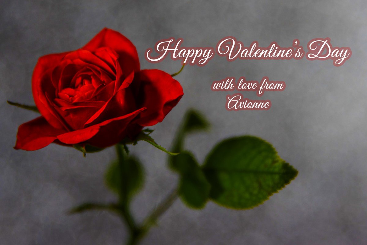 Good morning #WritingCommunity 🖤

Let's start the day with a #writerslift 

Drop the links to your #books, #blogs, #poetry, #art, #websites, or anything else you want to share

RT others to spread the love
🖤🖤🖤