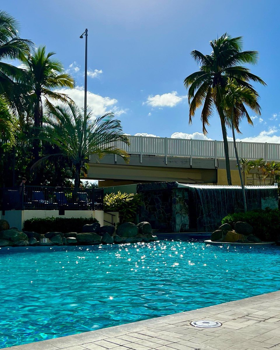 shellyshenoy's tweet image. 3 easy steps to win January:
1) Plan for January to suck. 
2) Go here so it doesn’t suck. 
3) Win.
Note: This also works for February &amp;amp; March. 
#januarysucks #followthisplan #islaverde #PuertoRico