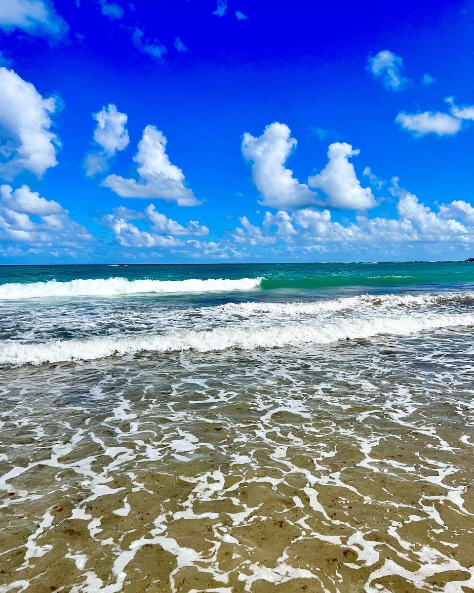 shellyshenoy's tweet image. 3 easy steps to win January:
1) Plan for January to suck. 
2) Go here so it doesn’t suck. 
3) Win.
Note: This also works for February &amp;amp; March. 
#januarysucks #followthisplan #islaverde #PuertoRico