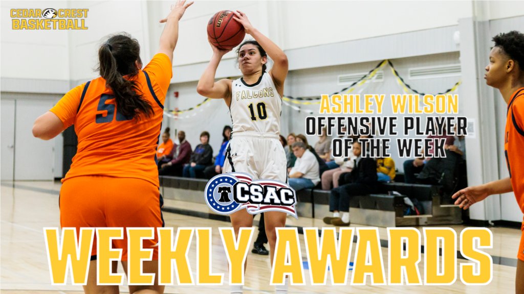 Cedar Crest College Falcons tweet media