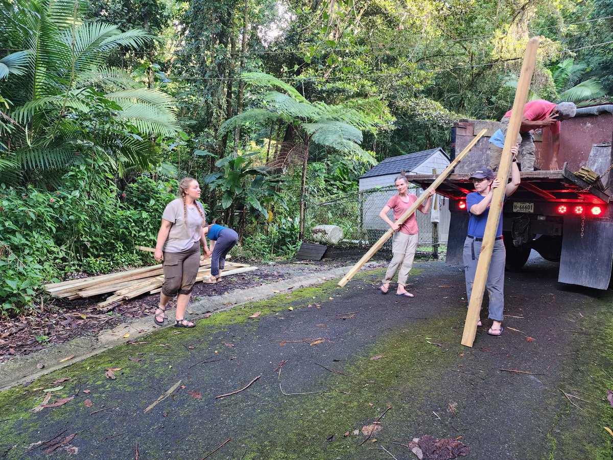 Chris M. Smith-Martin (@cmsmithmartin) on Twitter photo We've had a great time working on our drought experiment <a href="/LUQLTER/">Luquillo LTER</a> in Puerto Rico. <a href="/Tana_TropicsGal/">Tana Wood</a> <a href="/XiangtaoX/">XiangtaoXu</a> <a href="/ramontgomery_mn/">Rebecca A Montgomery</a> <a href="/JesterKZ/">Jess K. Zimmerman🌻</a> and Maria Uriarte. We've had a great time working on our drought experiment <a href="/LUQLTER/">Luquillo LTER</a> in Puerto Rico. <a href="/Tana_TropicsGal/">Tana Wood</a> <a href="/XiangtaoX/">XiangtaoXu</a> <a href="/ramontgomery_mn/">Rebecca A Montgomery</a> <a href="/JesterKZ/">Jess K. Zimmerman🌻</a> and Maria Uriarte.