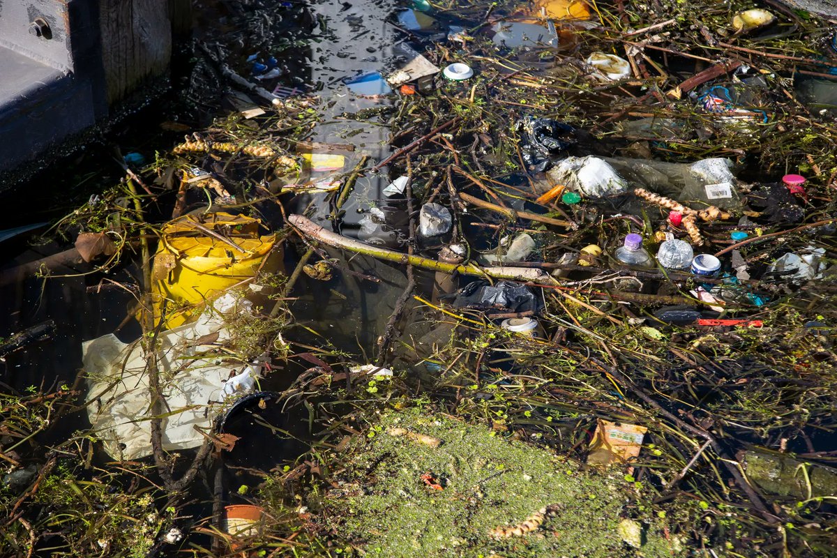 Single-use plastic's devastating impacts reach far and wide. Its production is rooted in fossil fuels, and the part it plays in the climate crisis is huge. We're working to #EndPlasticPollution for good by 2040.
 
RT if you stand with us 💪

📸 Barry Macdonald