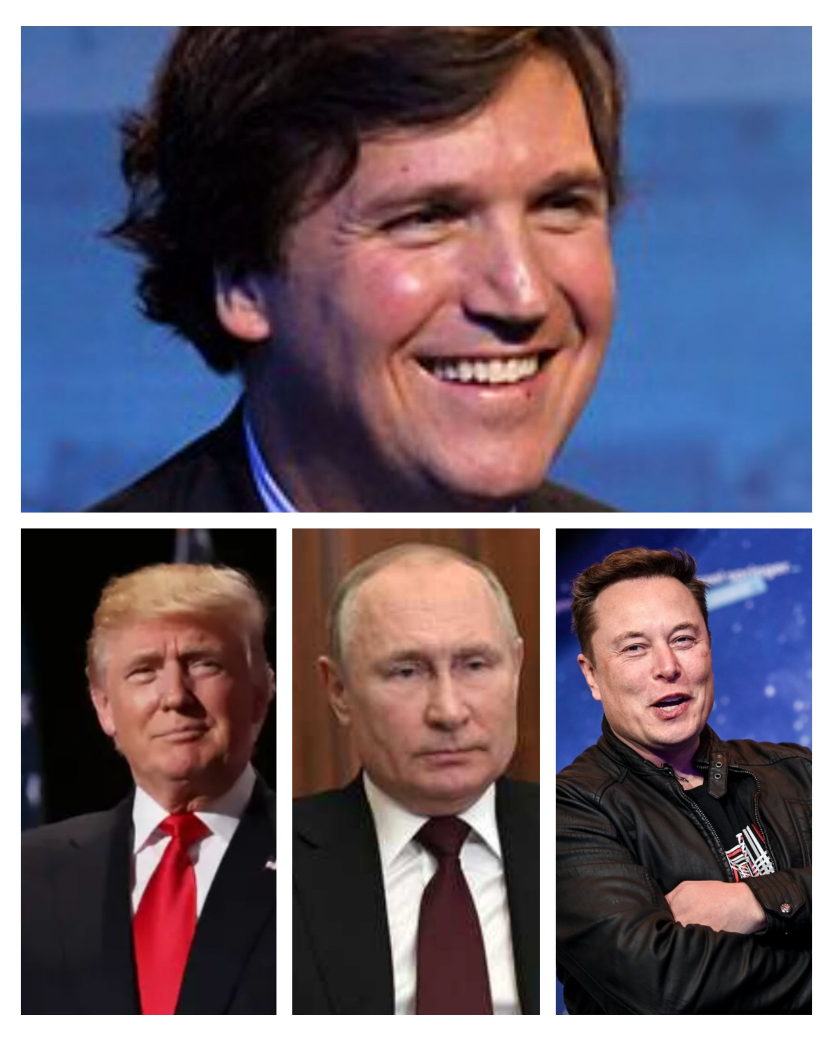Jack·wolf ······🇷🇺M A G A🇺🇲 (wolf_4146813642) / Twitter