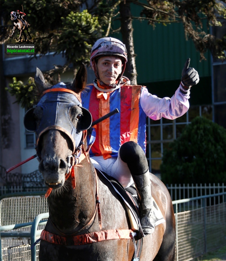 hipicatotal's tweet photo. CAMARERO montado por NICOLÁS VENEGAS tras imponerse en la sexta carrera del martes 17 de enero. El pensionista de RAÚL VENEGAS pertenece al stud MOROCO. El nacido en HARAS MACUL abonó 7.90 a ganador. #hipicatotal #Camarero #NicolásVenegas #RaúlVenegas #StudMoroco #HarasMacul https://t.co/w4a0tA2I6U
