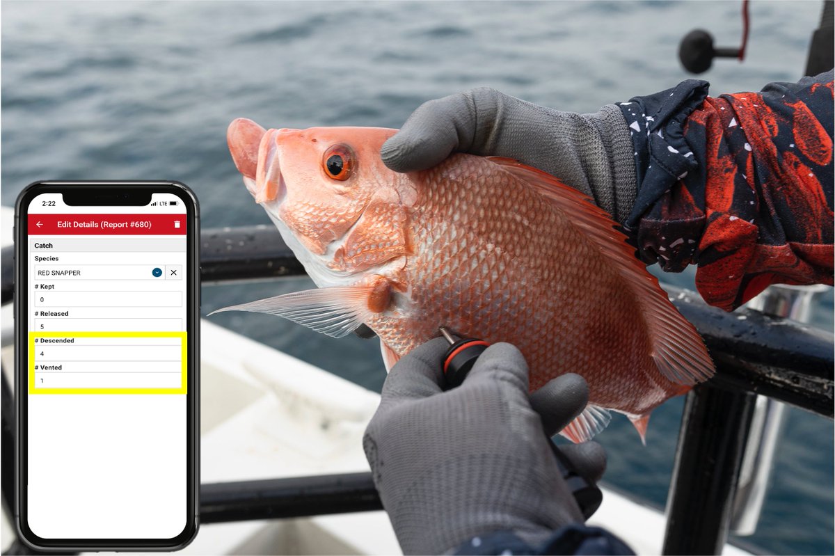 Attention Headboat Captains &amp; Crew: Be on the lookout 👀. VESL has new data fields on the Southeast Region Headboat Survey (SRHS) form! <a href="/NOAAFisheries/">NOAA Fisheries</a> <a href="/ReturnEmRight/">Return 'Em Right</a> added two new fields on the number of fish descended and vented to improve release mortality estimates.
