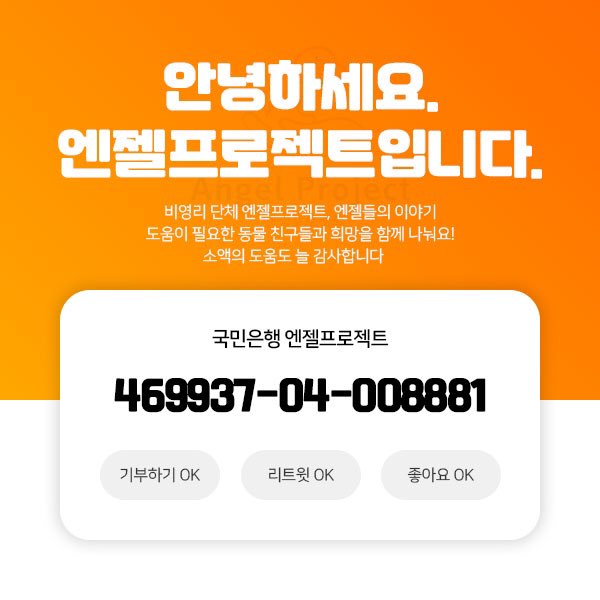 Hyeyounkim3's tweet photo. 아이들이 거의 100마리 가깝다 보니
임보중 인 친구들 포함 
돈이 많이 들어갑니다 
위탁비도, 치료비도, 출국비도

쉼터 비용까지 모금중 

일단 5처넌의 기적을 또 간절히 바래봅니다 https://t.co/fOmJPomFSw