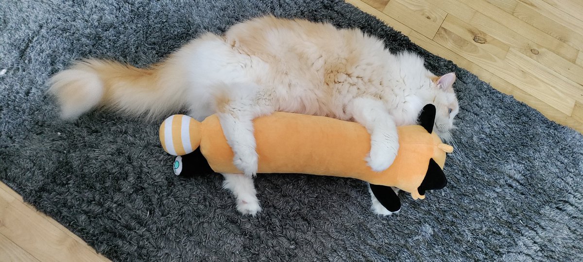 dont_jinxit's tweet image. Calling other artists / dealers!

I'm planning on dealing at future cons, can you share with me your DealersDen stalls for inspiration? :0

Also if you have any advice or tips I'd appreciate it ^^💕

Dus for attention