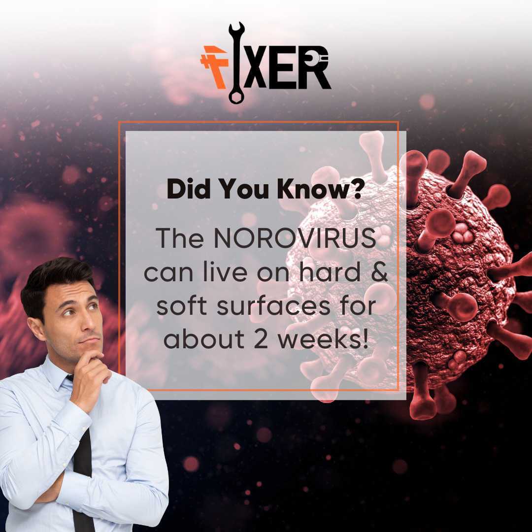 fixers_ae's tweet photo. Fixer's Sofa Cleaning Services
COMING SOON!
.
#wegotafix #fixers #fixer #fixit #fixing #sofacleaningservices #sofacleaningservice #furniturecleaning #norovirus #nogerms #germsfree #comingsoon #cleaningservice #virusfree #sofacleaning #comingsoon #couchcleaning #cleansofa https://t.co/WUAzFM9gHf