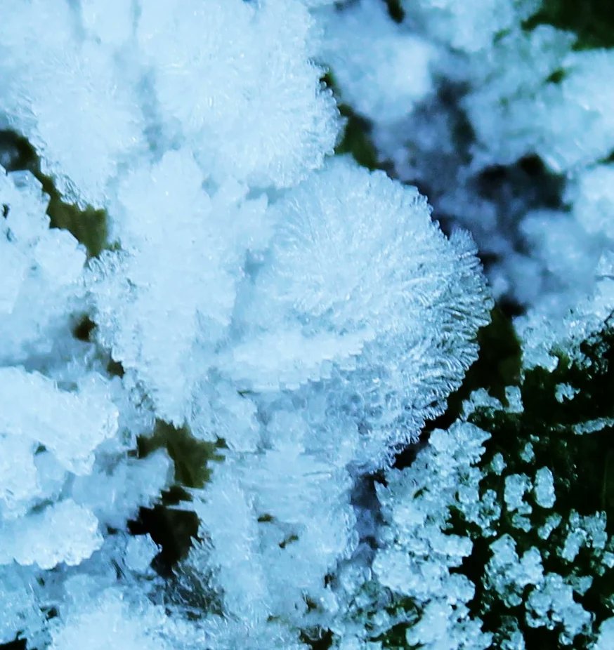 Some beautiful ice crystals 🔮 😍 

#ice #frost #freezing #icecrystals