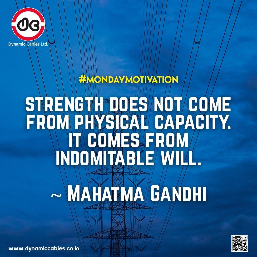 Dynamic Cables Limited tweet media