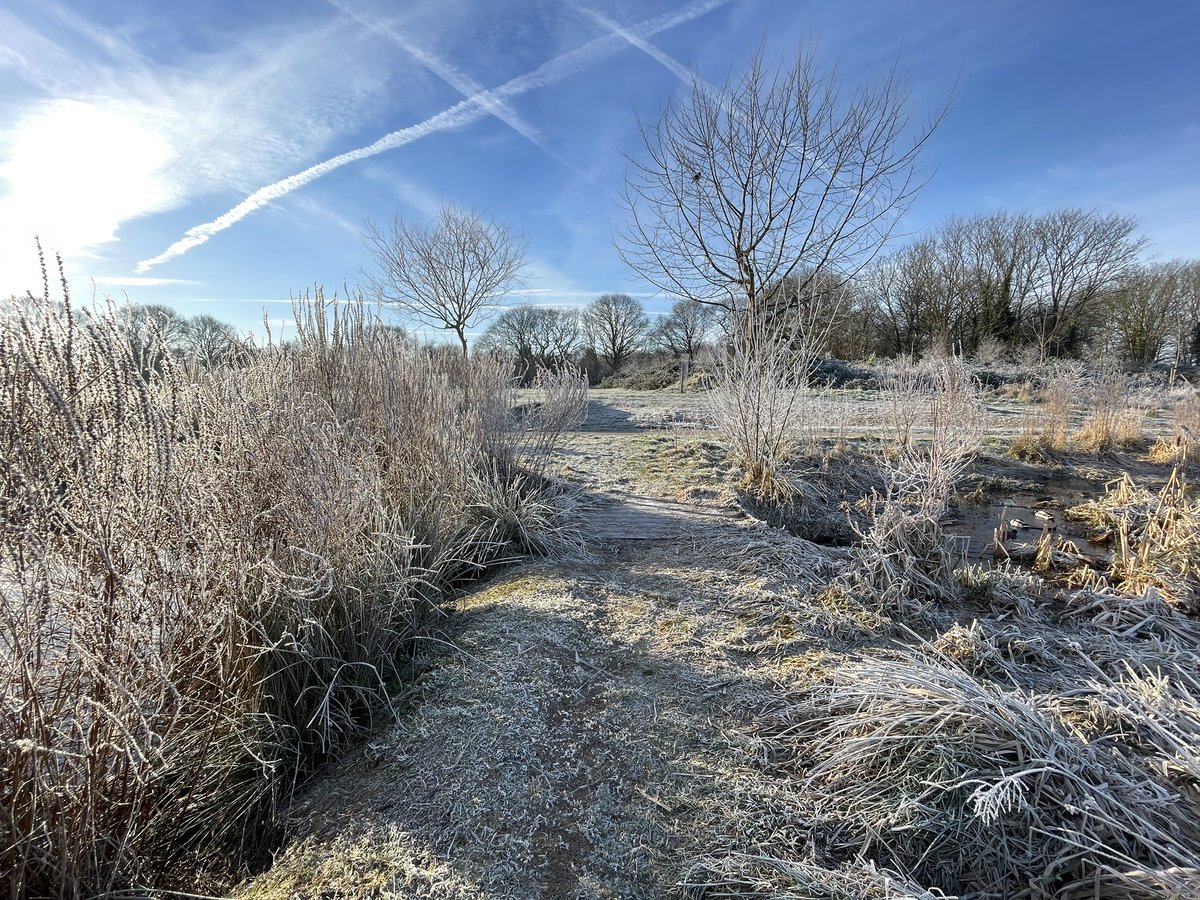 Lots of locals out early this morning capturing the cold but beautiful wetland views #firsfarm #wetlands #NaturePhotography