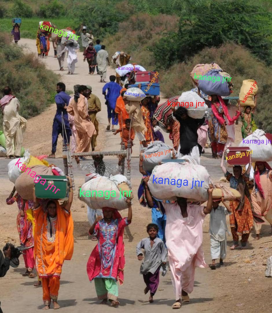 KanagaJnr's tweet photo. Word on the streets is that these are members of #KanagaForce🔰 carrying their fav on their heads like government work. Lmao, we love to see this!

Give this 200 RTs lets gooooooooo

IT'S KANAGA JNR

KANAGA JNR X BLUE AIVA

#KanagaJnr
#BBTitans https://t.co/6gUYVZuS7n