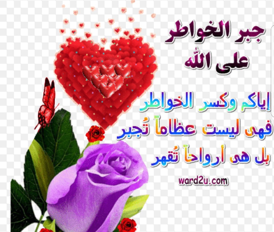 قالولي اين تجد الجمال
قلت لهم عند الناس الذي تجبر الخواطر 
❣❣❣