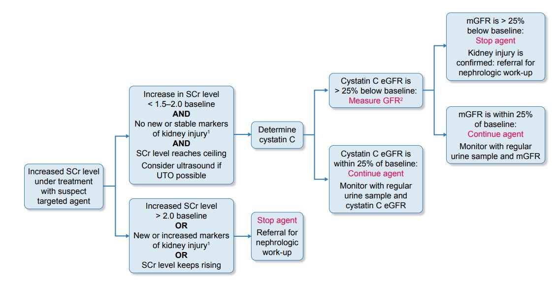 🆕Editorial:
Pseudo-AKI associated with targeted anti-cancer agents: the truth is in the eye of the filtration marker 
bit.ly/3R1gDuh
📸Proposed algorithm for elevated SCr levels in patients treated with targeted agents with known or anticipated potential for pseudo-AKI
