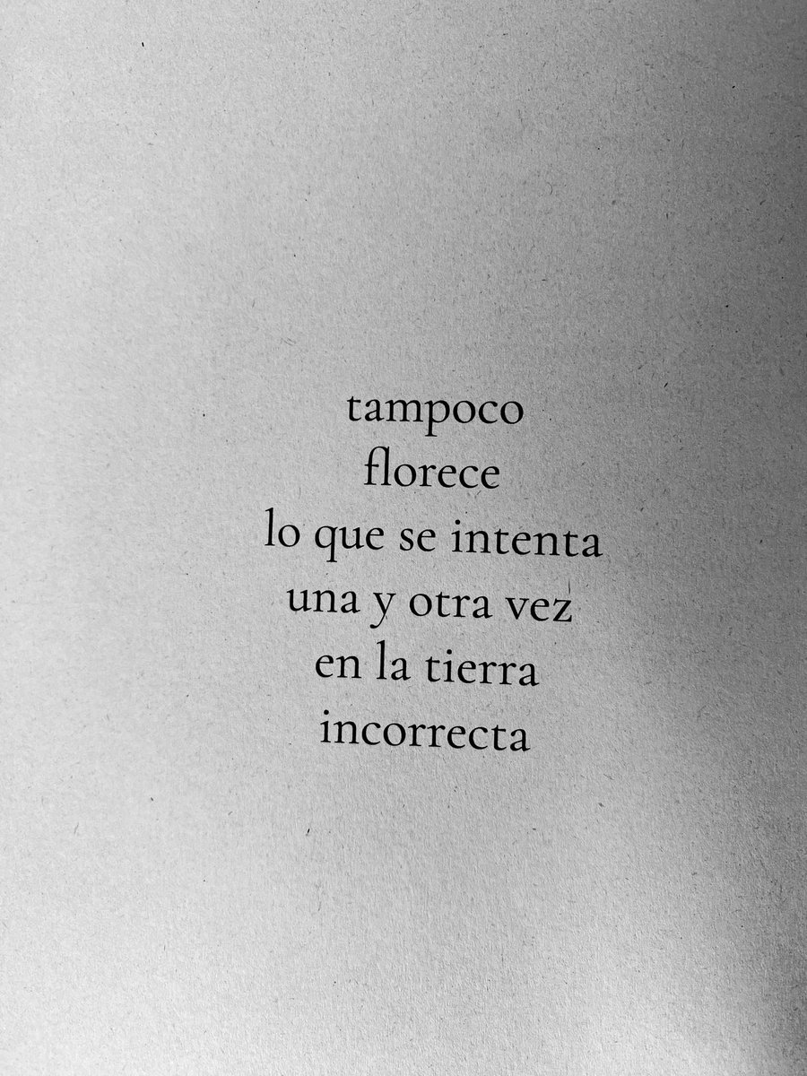 Cementedelibros's tweet photo. “tampoco 
florece 
lo que se intenta 
una y otra vez 
en la tierra 
incorrecta.”
Autor: @guidomessina 
Libro: Incendio
#cementeriodelibros https://t.co/EqkdMzPjUU