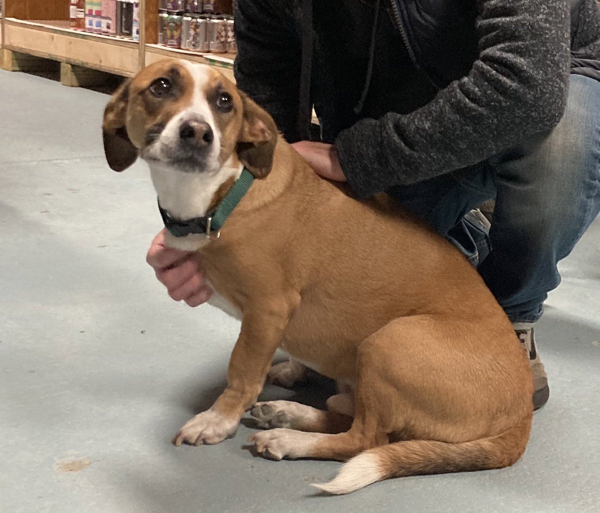 Huey Lewis and THE ENEMY OF THE PPL (@tweedyjokes) on Twitter photo 