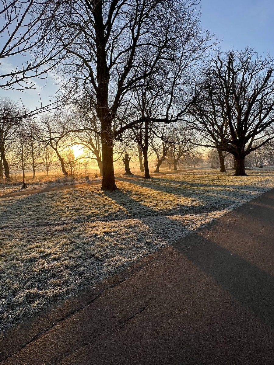 Amelia Boone tweet media