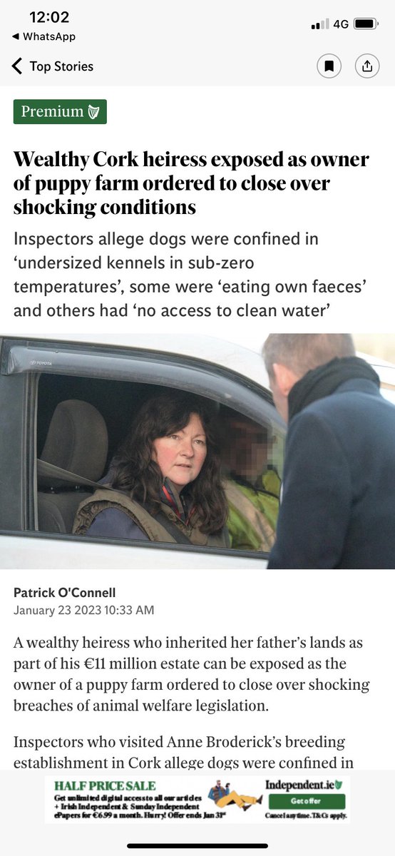 Fair play to <a href="/Independent_ie/">Irish Independent</a> for giving coverage to the 220 dogs left with a breeder to rehome since she was shut down by <a href="/Corkcoco/">Cork County Council</a> 20 days ago. When are <a href="/Corkcoco/">Cork County Council</a> going to act on moving these dogs out of there? <a href="/catlowry54/">Catríona Lowry</a> <a href="/JnOCallaghan/">John</a> <a href="/AdvocacyDog/">Dog Advocacy Ireland</a> <a href="/mayor_co_cork/">Mayor of the County of Cork</a>