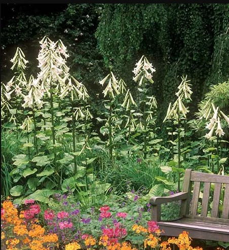 Jessica Fraser tweet media