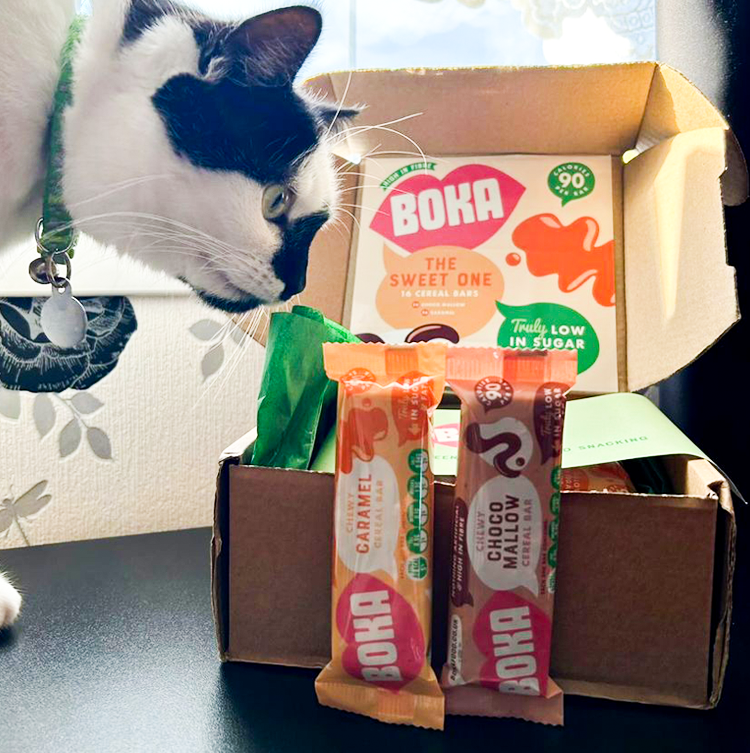 DeliciousBoka's tweet image. Watch out - even your #cat will be after BOKA bars! 🐱

'The Sweet One' is available to order direct from our website for just £14. 

16 BOKA bars, 8 caramel, 8 choco mallow, all #lowsugar and fat. Perfect for #lunchboxes, snacking on the go, or keeping by your desk! 🖥️