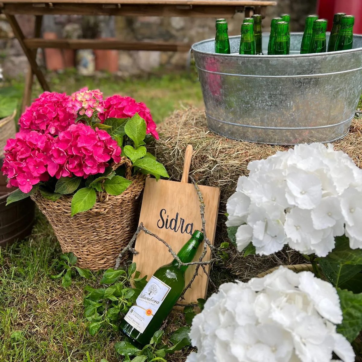 Malena - Catering sostenible en Asturias tweet media