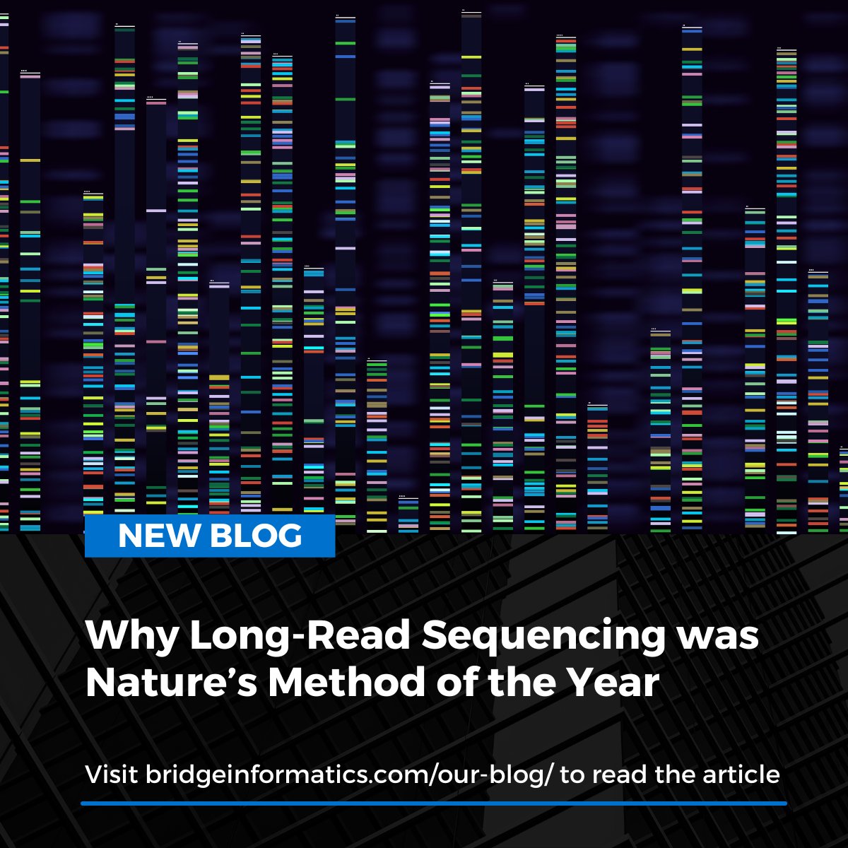 Method Of The Year: Long-Read Sequencing – Estrich Mobil