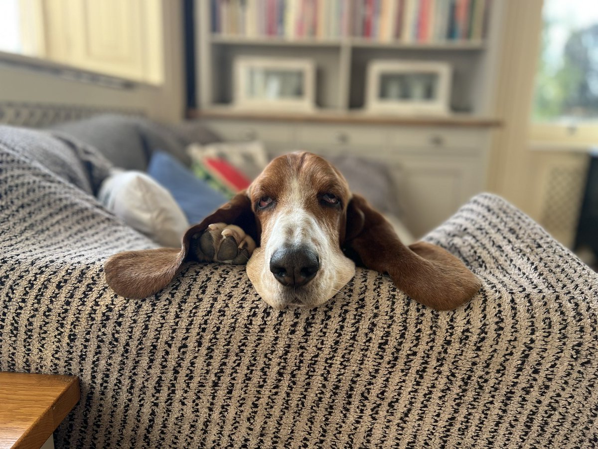 Sharron Davies HoL MBE tweet media