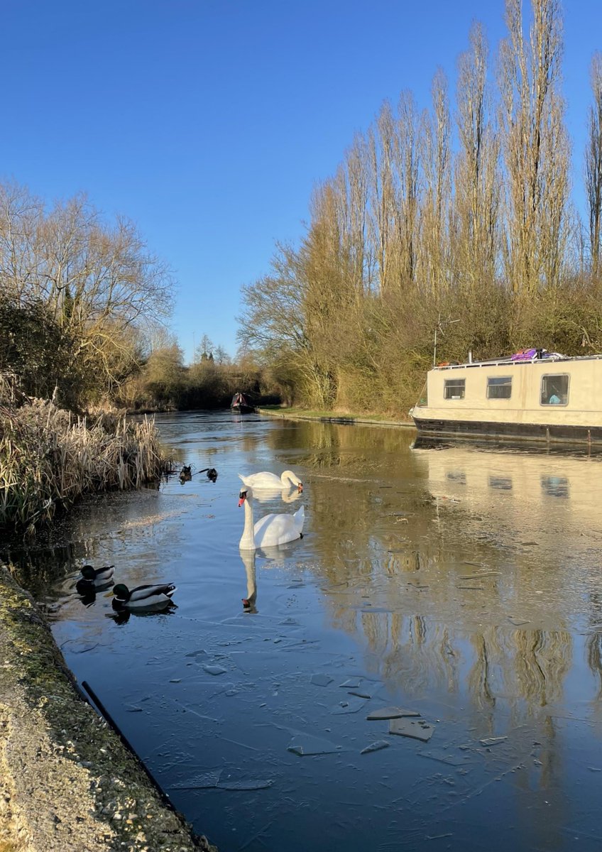 Out just in time for #miltonkeynes birthday, the latest issue of Milton-Keynesia Magazine -
picturing life in the City of Milton Keynes.
flipsnack.com/miltonkeynesia…
<a href="/mkfuturenow/">Milton Keynes Future</a> #lovemk