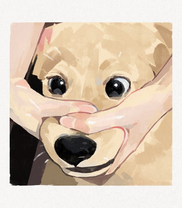 「食べ物 柴犬」のTwitter画像/イラスト(新着)｜2ページ目