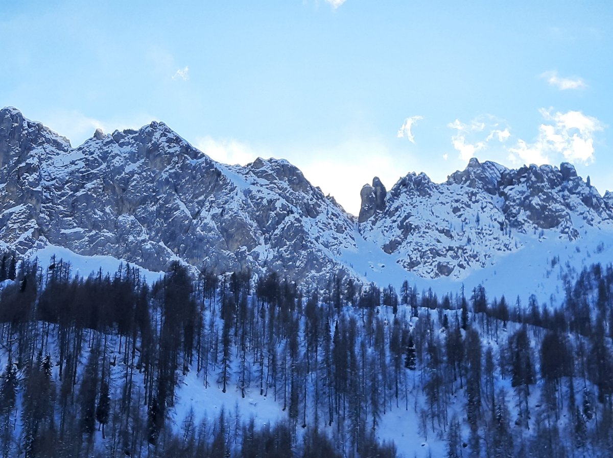 ProtCivReg_FVG's tweet photo. 🎯Focus Bollettino pericolo neve e valanghe. 
E' disponibile sul nostro sito l'aggiornamento odierno del bollettino neve e valanghe valevole fino a mercoledì #25gennaio.
Consulta qui il bollettino aggiornato📌 https://t.co/IidrXLGdiU https://t.co/YaiNmyXE0j