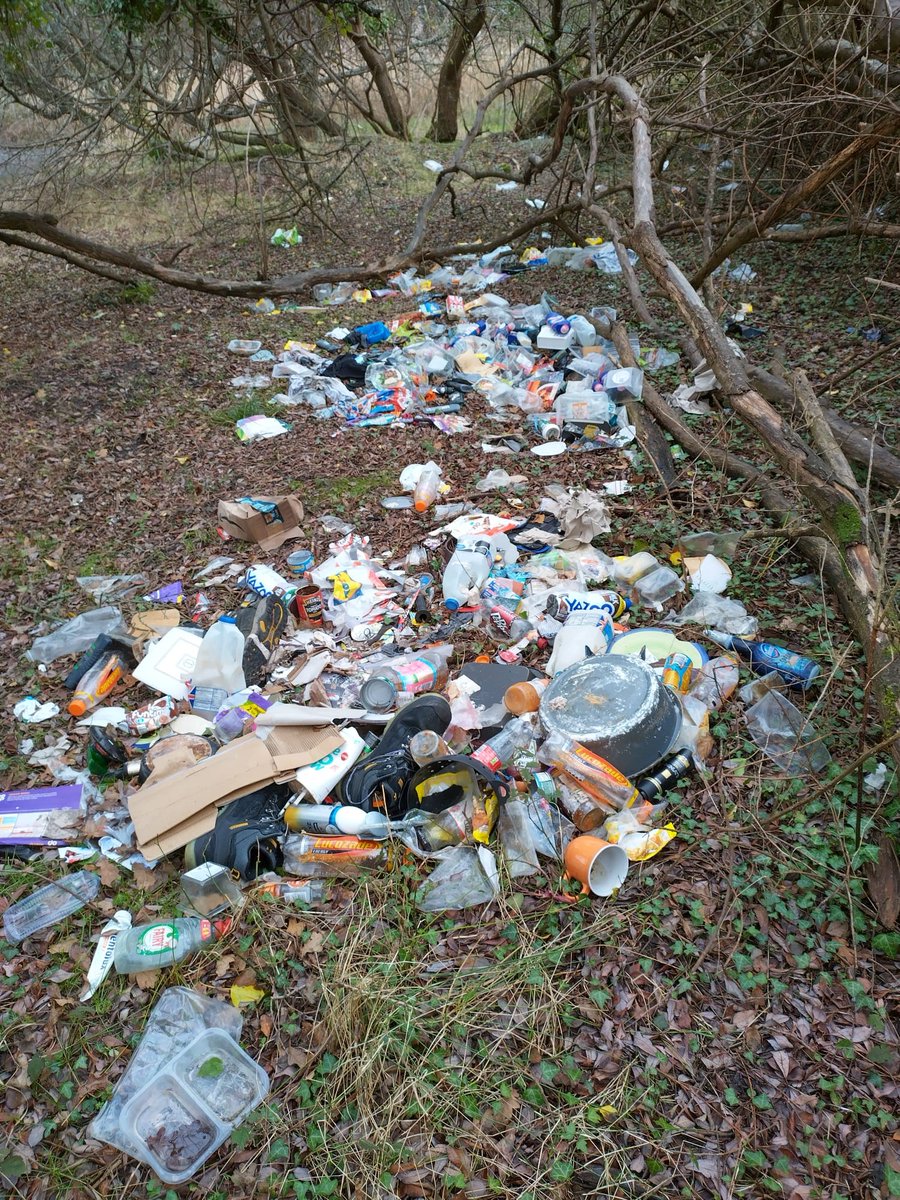 So disappointing to have to collect 10 bags of domestic fly-tipping from Local Nature Reserve and Site of Nature Conservation Interest at Lytchett Bay View - evidence of ownership found - will seek to prosecute <a href="/Bournemouthecho/">Bournemouth Echo</a> <a href="/BBCSouthNews/">BBC Hampshire & Isle of Wight</a> <a href="/ITVMeridian/">ITV News Meridian</a> <a href="/DorsetCouncil/">Dorset Council</a>