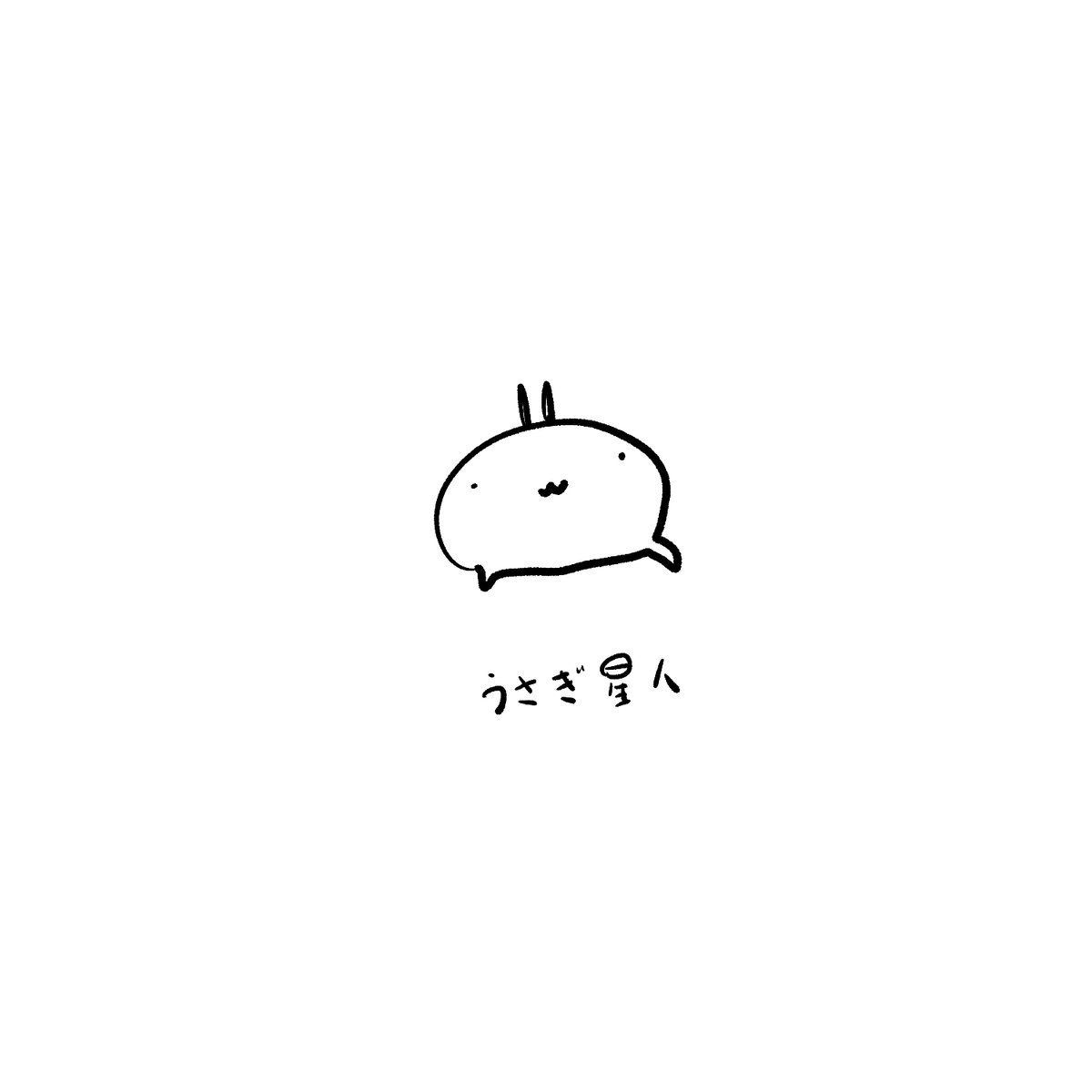 今日のうさぎ 