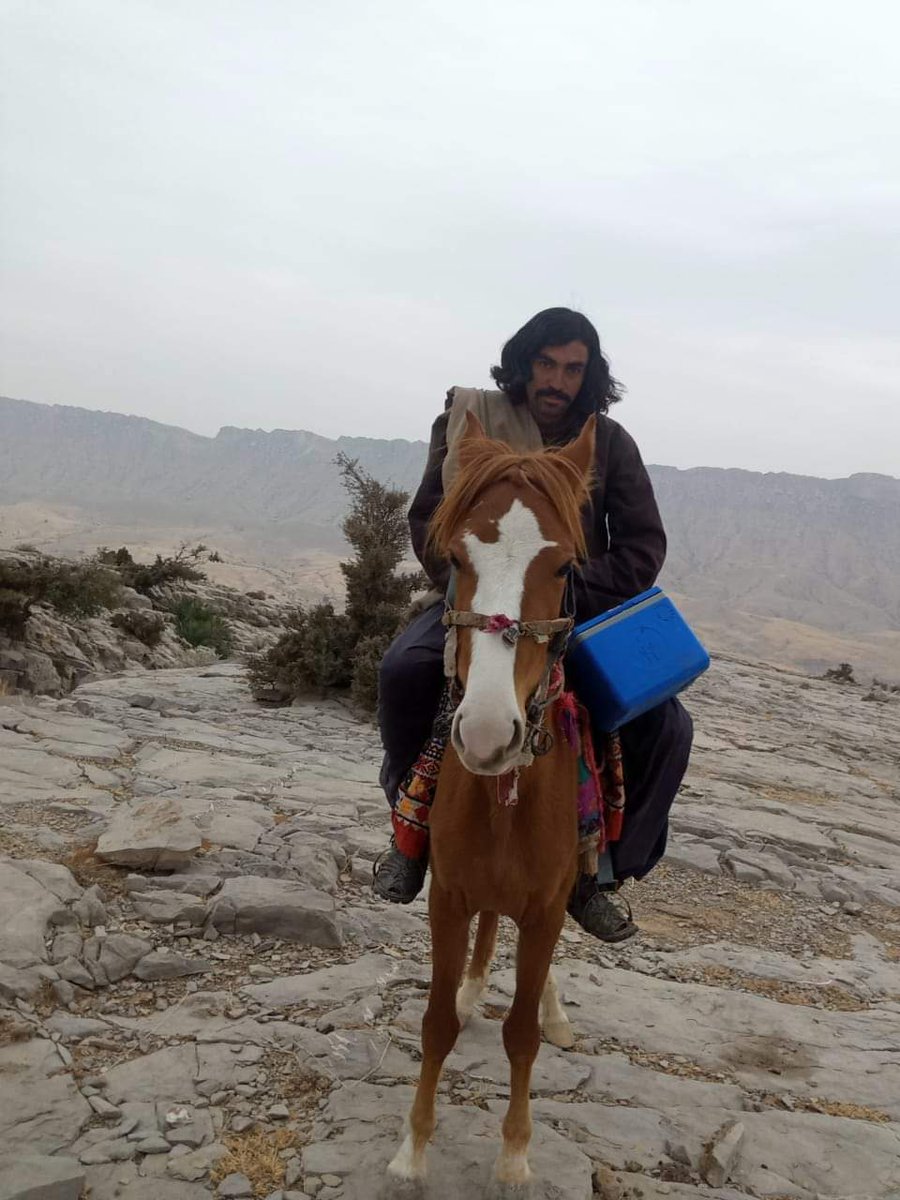 Sher Nawaz Marri polio worker administered polio drops to under five year children in far flung area of UC Thadri Tehsil Mawand District Kohlu...We plan to reward our motivated worker @PakFightsPolio @EndPolioNow @UNICEFpolio @EocBalochistan