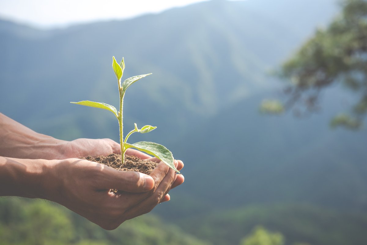 Offset Your Carbon Footprint - Calculate, Reduce &amp; Offset Your Carbon Emissions Today! 

lnkd.in/eAnMQY2

#climatechange #csr #carbonoffsets #sustainability #carbonneutral
#renewableenergy #sustainability #carbon #GHG #SDGs #environment #climate #energy