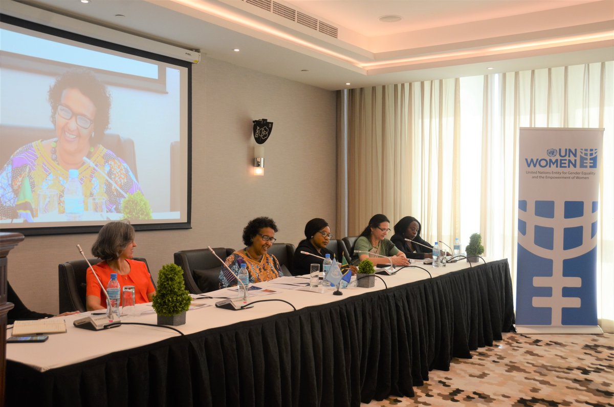 unwomentanzania's tweet photo. In the #GenderStrategy seminar's panel discussion, UN Women Representative @AddouHodan shared UN Women's work in partnership with the Government of 🇹🇿 to advance Gender Responsive Budgeting and national commitments on #GenerationEquality https://t.co/ZBvpqFoktU
