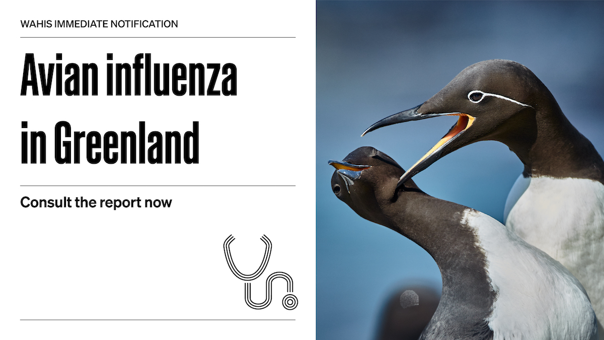 World Organisation for Animal Health tweet media