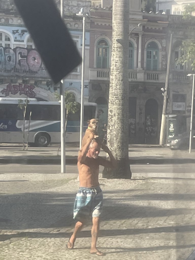 becasouzar's tweet photo. Pra começar bem a semana…

Direto do Rio de Janeiro:  Bora humano, quero tomar meu café da manhã. 

#BomDiaBrasil #PerolasdoRio https://t.co/oSyaj2LnoK