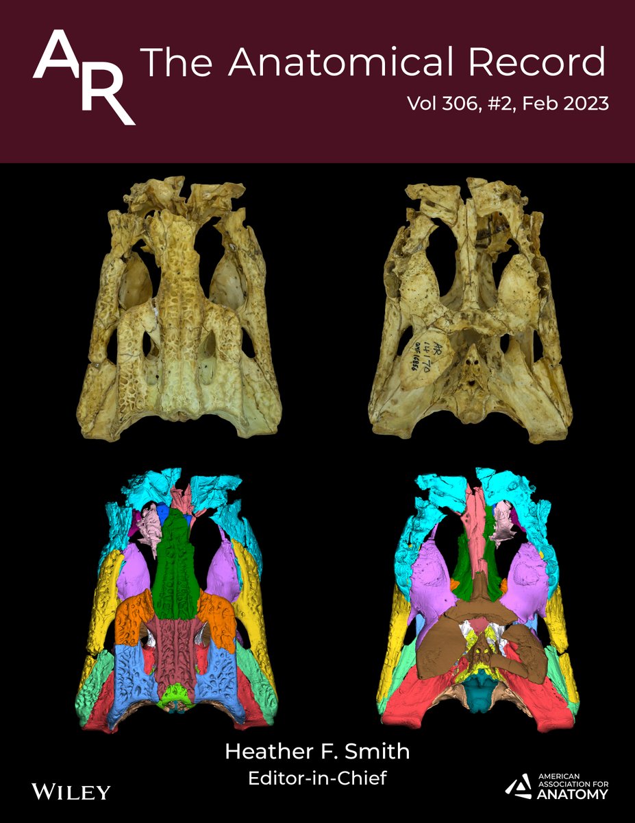 The Anatomical Record tweet media