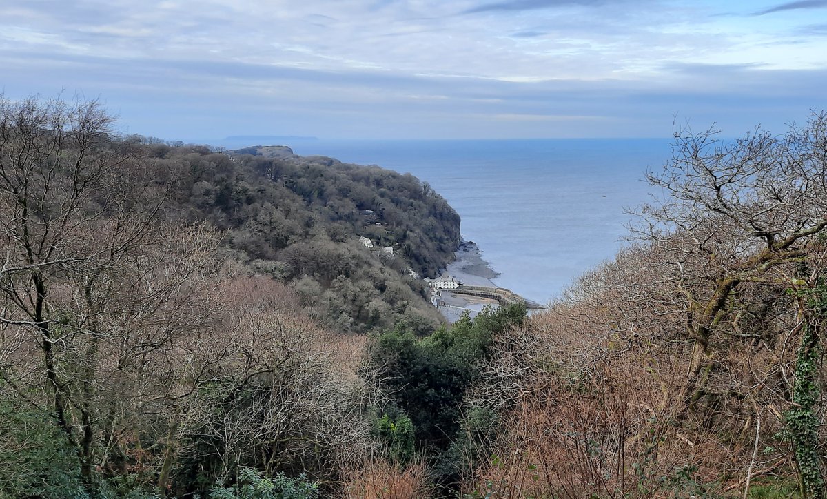 A view of Clovelly not often seen (distant views of Lundy too).  From our short Sunday stroll with good friends (and a pint afterwards in our local (well one of them 😉).  #clovelly #northdevon #devon #southwestcoastpath #nationaltrustsouthwest #sundaywalks #walkswithfriends