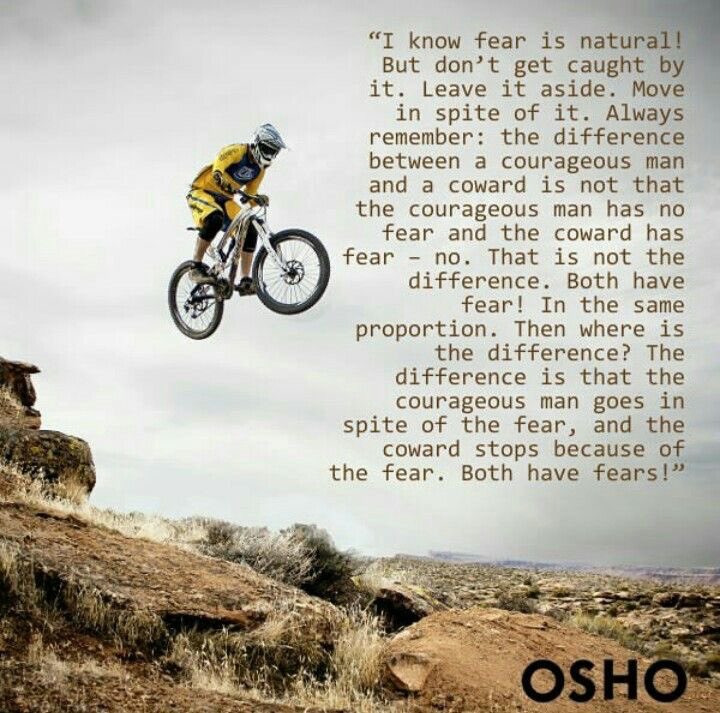 Being courageous doesn’t mean you have no fear but instead going in spite of the fear. So whatever you are a bit afraid of this week, try to find the courage to do it anyway 💜 #phdvoice #AcademicChatter