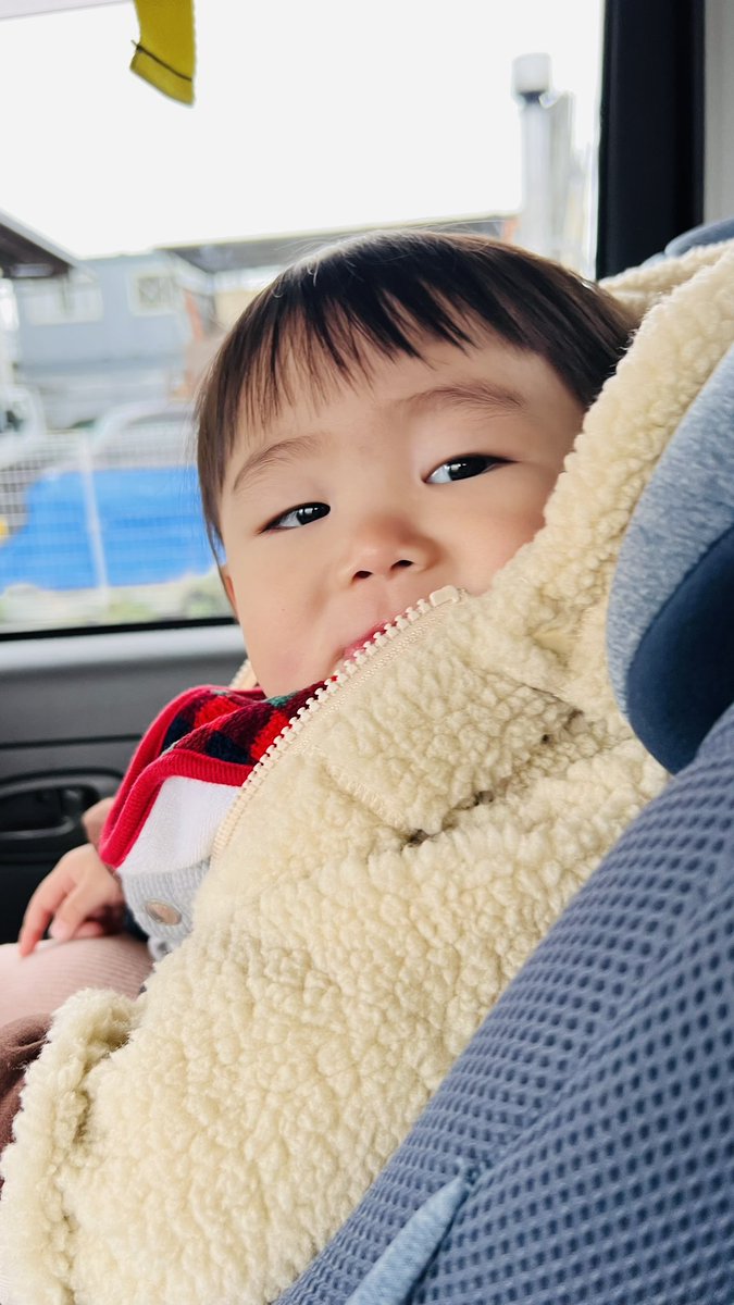 Choko_ku's tweet photo. もう赤ちゃんじゃないな〜👶🏻幼児だ😳❤️ https://t.co/tgAsCLuZmz