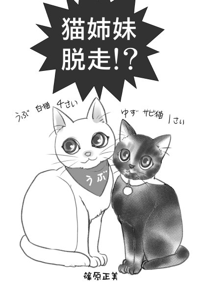 恥を忍んで、昨年うちの猫たちを脱走させてしまった事件をマンガにしました。反省を込めて。
#猫 #猫のいる暮らし #猫マンガ #エッセイ 