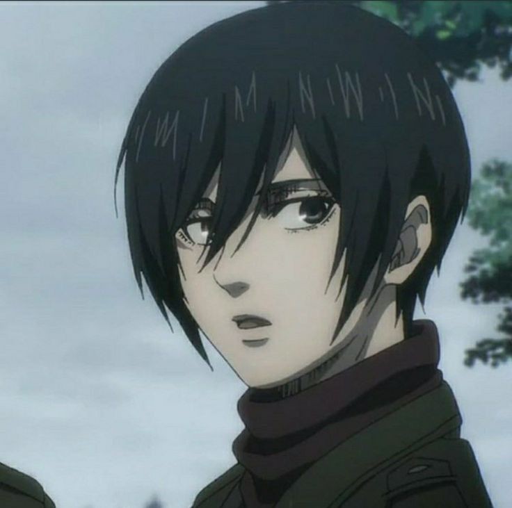 daniypink20's tweet photo. Personagem: Mikasa Ackerman🧣
Anime/mangá:Attack on Titan/Shingeki no Kyojin
Data:10/06/21🧣 https://t.co/Yzly3ZrokS