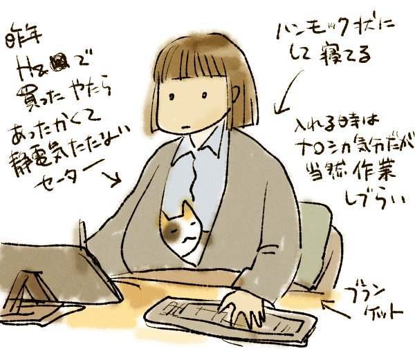 最近のニャンさんの定位置 