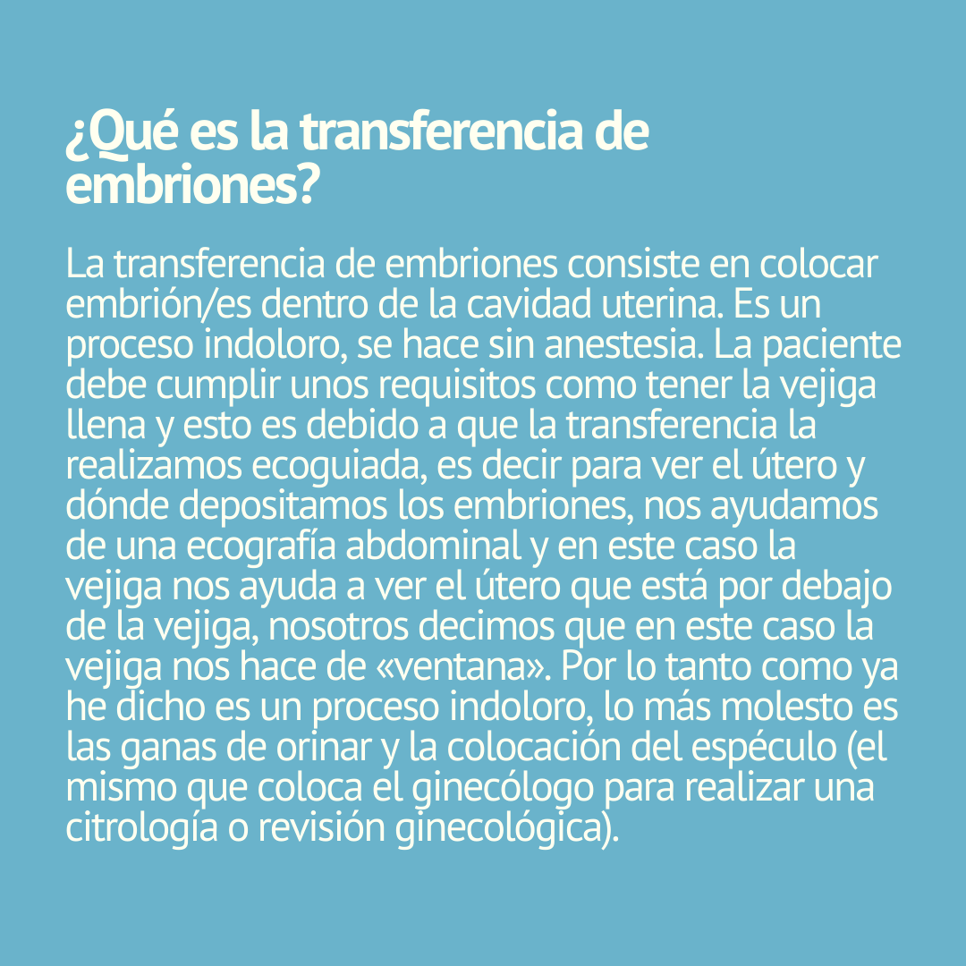 IFertilidad's tweet photo. Embriones NO Transferidos ¿Qué ocurre con ellos? 👩‍⚕️ En este post te facilitamos un resumen de la información que encontrarás en nuestro #Blog 👉 https://t.co/uN0104CnfN

#implantacionembrionaria #embrion #transferenciaembrionaria  #medicina #redinfertiles #infertilpandy https://t.co/AoXA3SXloV