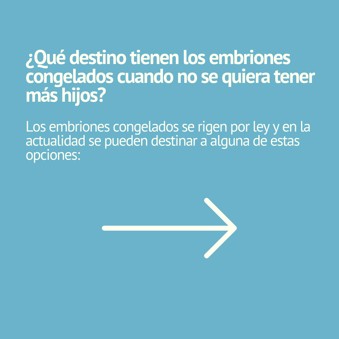 IFertilidad's tweet photo. Embriones NO Transferidos ¿Qué ocurre con ellos? 👩‍⚕️ En este post te facilitamos un resumen de la información que encontrarás en nuestro #Blog 👉 https://t.co/uN0104CnfN

#implantacionembrionaria #embrion #transferenciaembrionaria  #medicina #redinfertiles #infertilpandy https://t.co/AoXA3SXloV