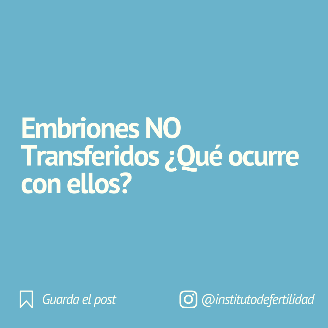 IFertilidad's tweet photo. Embriones NO Transferidos ¿Qué ocurre con ellos? 👩‍⚕️ En este post te facilitamos un resumen de la información que encontrarás en nuestro #Blog 👉 https://t.co/uN0104CnfN

#implantacionembrionaria #embrion #transferenciaembrionaria  #medicina #redinfertiles #infertilpandy https://t.co/AoXA3SXloV