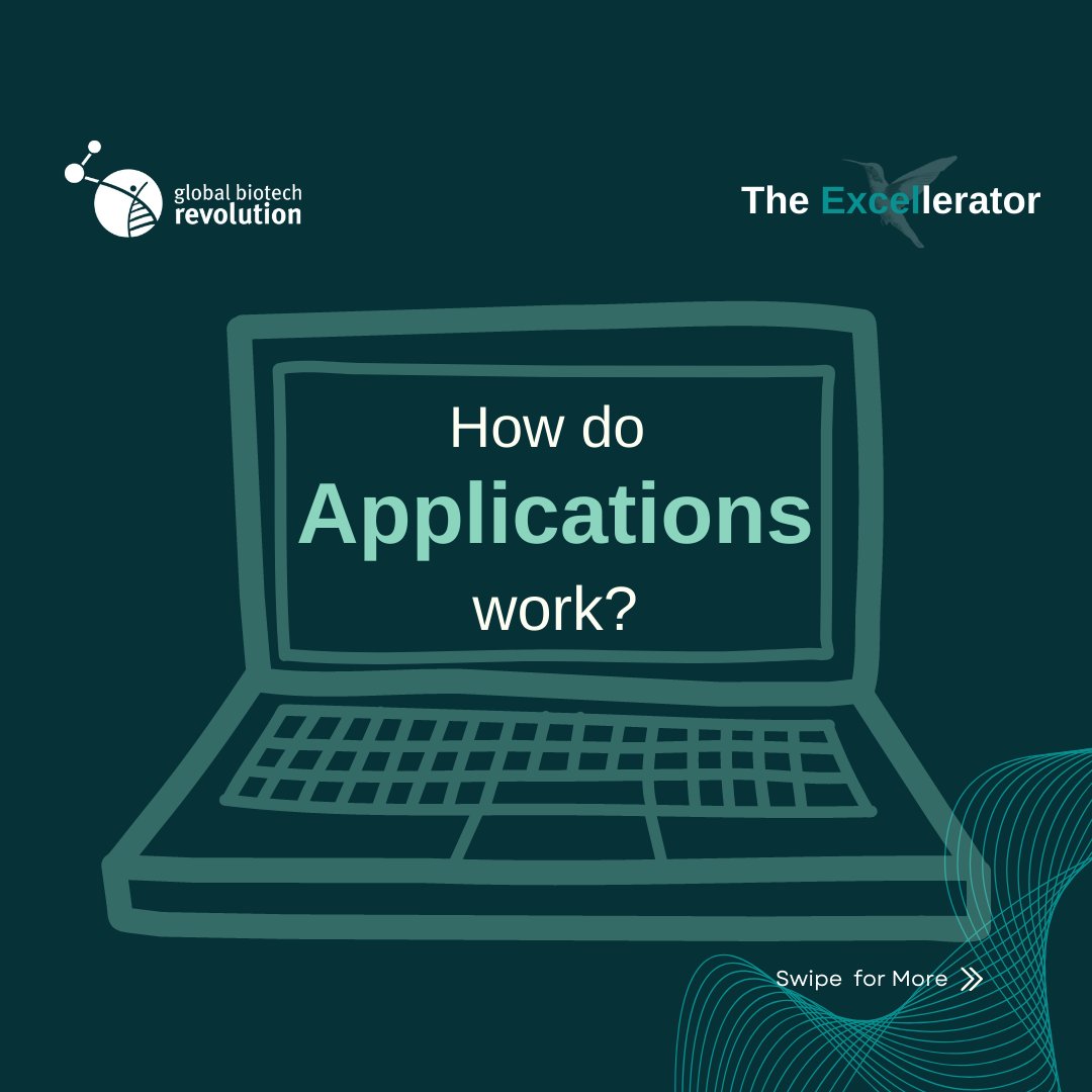 GlobalBRev's tweet photo. Early bird applications open 01.02 and close 28.02, and will be considered on a rolling basis. You will need to attach your CV (max. 2 pages) and fill out the application form that we will provide. The selection procedure has 2 phases: application submission and an interview. https://t.co/Sxf4KKE4ja